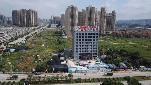 河源市源城区最新爆料,揭秘神秘事件背后的真相